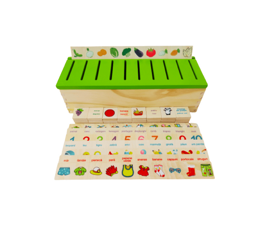 Sortator Montessori